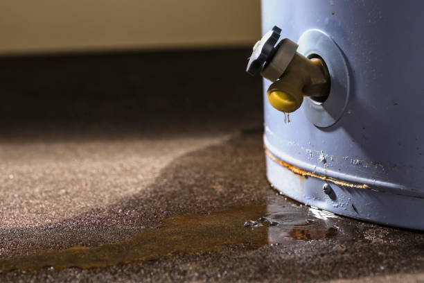 Best Local water damage restoration  in London, KY