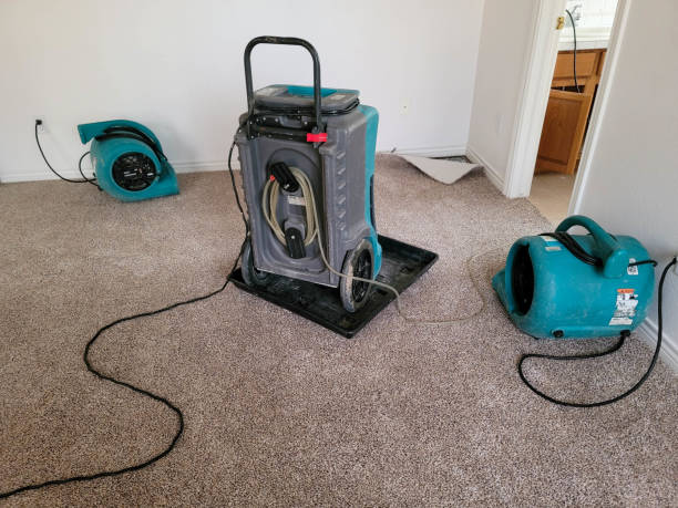 24/7 water damage repair in London, KY