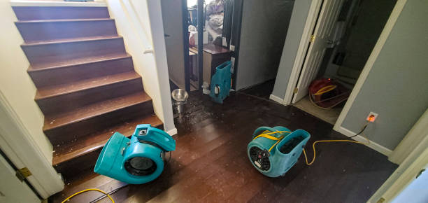Best Basement water damage restoration  in London, KY