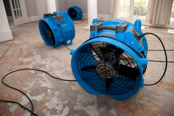 Best Residential water damage restoration  in London, KY