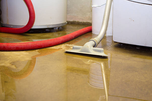 Water damage restoration mold remediation in London, KY