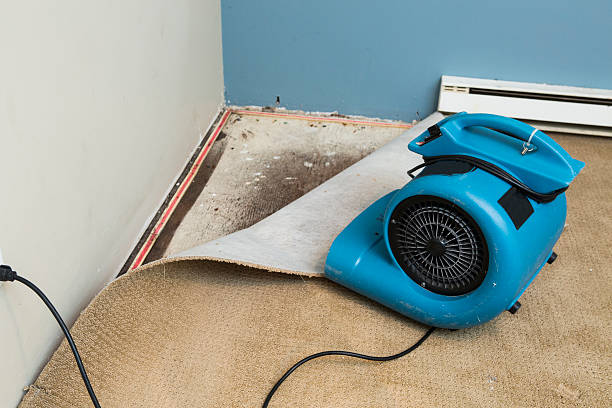 Best Water damage cleanup near me  in London, KY